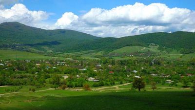 Зелёный Тианети_6